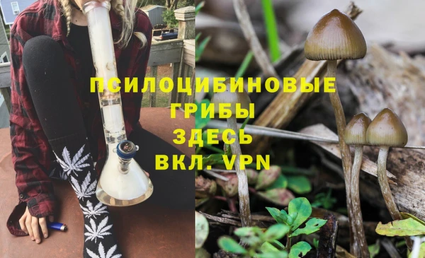 ALPHA PVP Переславль-Залесский