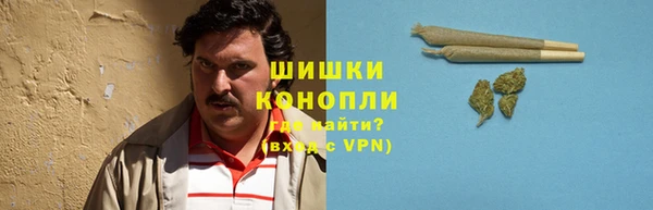 гашик Покров