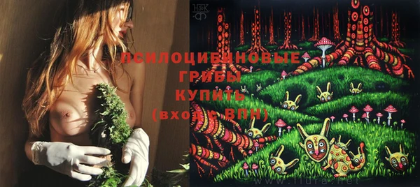 мдпв Пересвет