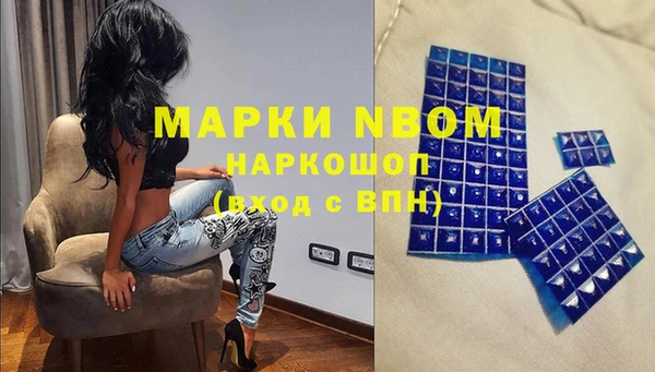 мдпв Пересвет
