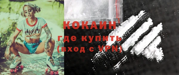 мдпв Пересвет