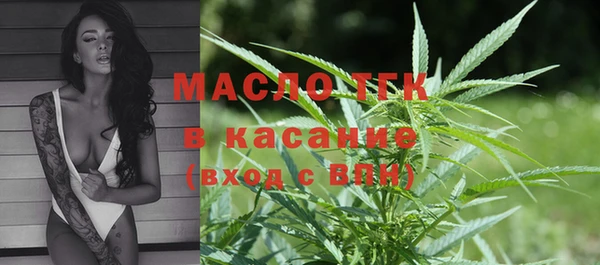 мдпв Пересвет