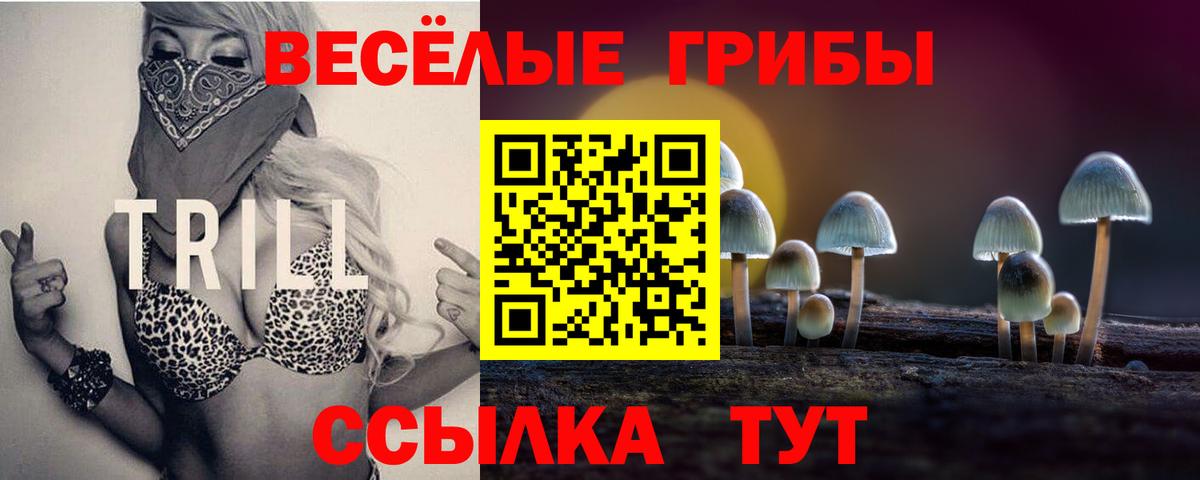 Ивантеевка  Псилоцибиновые грибы прущие грибы  Вход с VPN  Псилоцибиновые грибы мицелий 